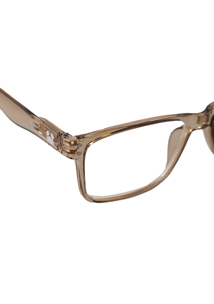 Eco-friendly reading glasses HIPO CRYSTAL BROWN MODEL Oceanides Eyewear