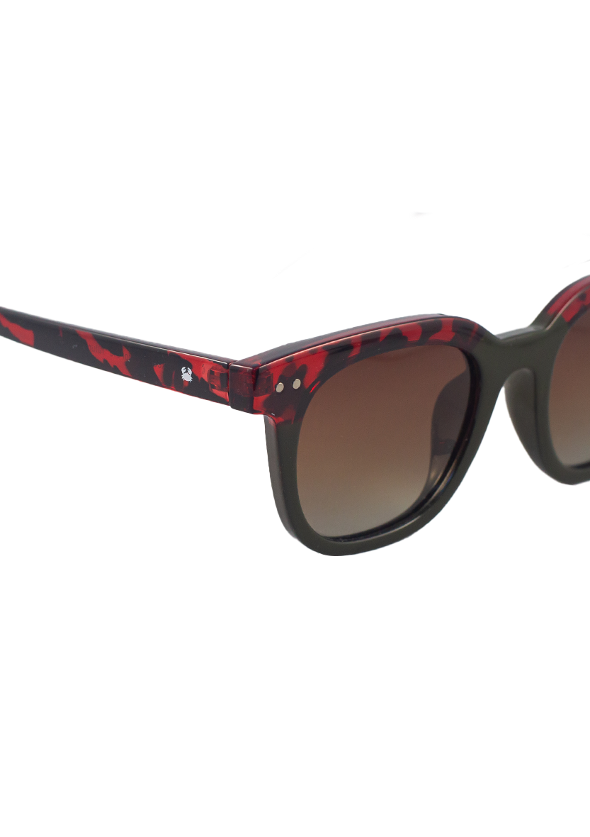 Eco-friendly sunglasses ALTEA TORTOISE GREEN Oceanides Eyewear